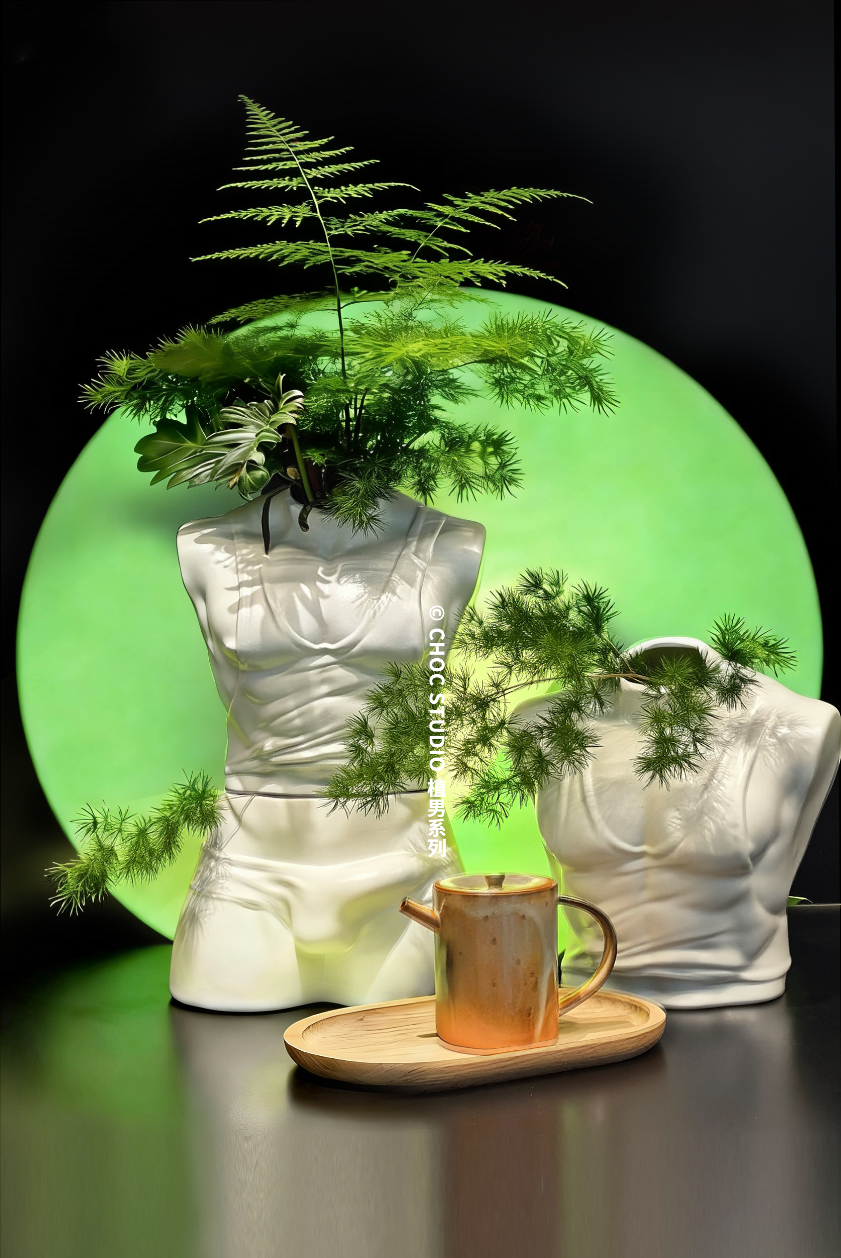 【Pre-sale】Flowerpot Plant Guy-CHOC studio