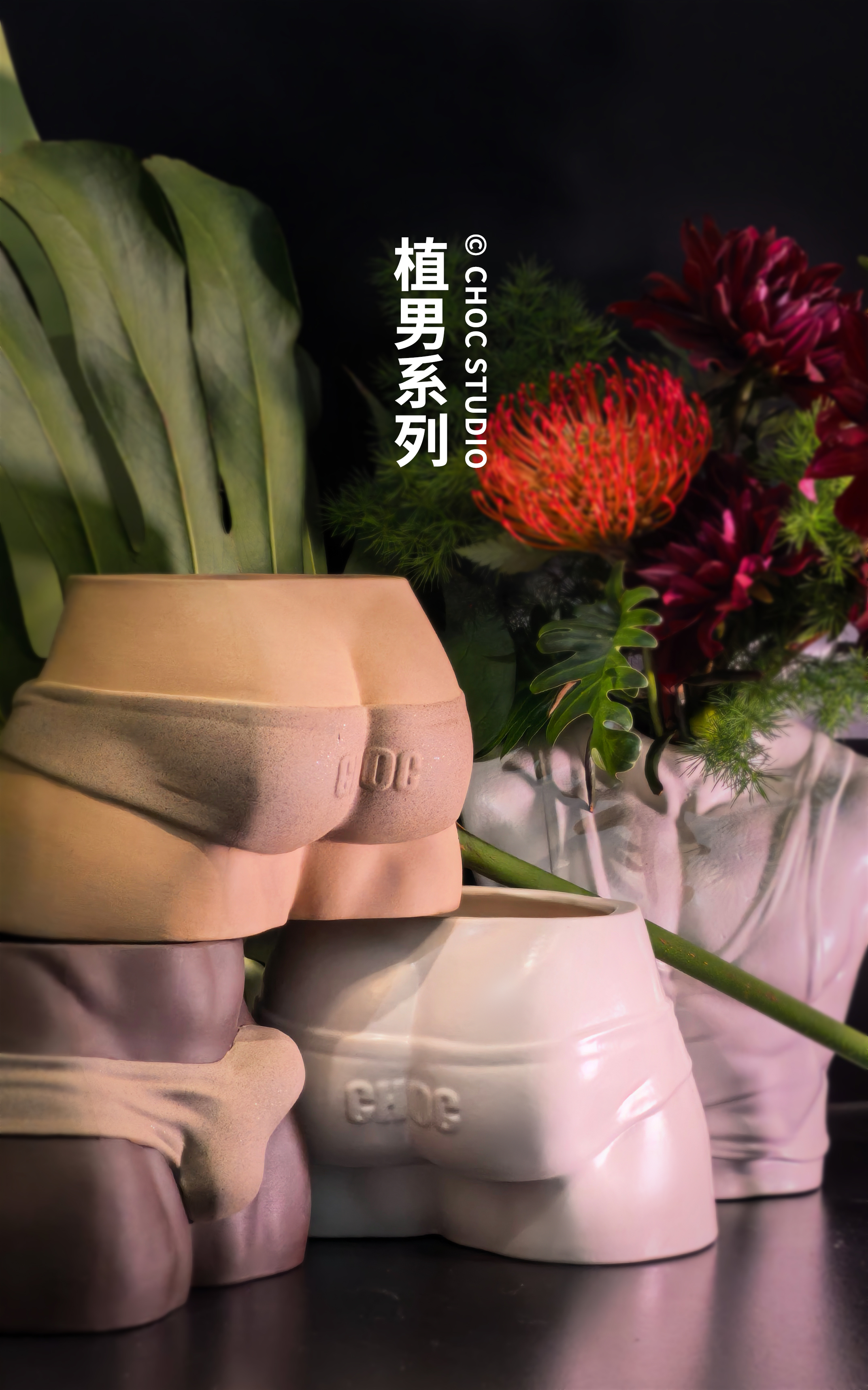 【Pre-sale】Flowerpot Plant Guy-CHOC studio