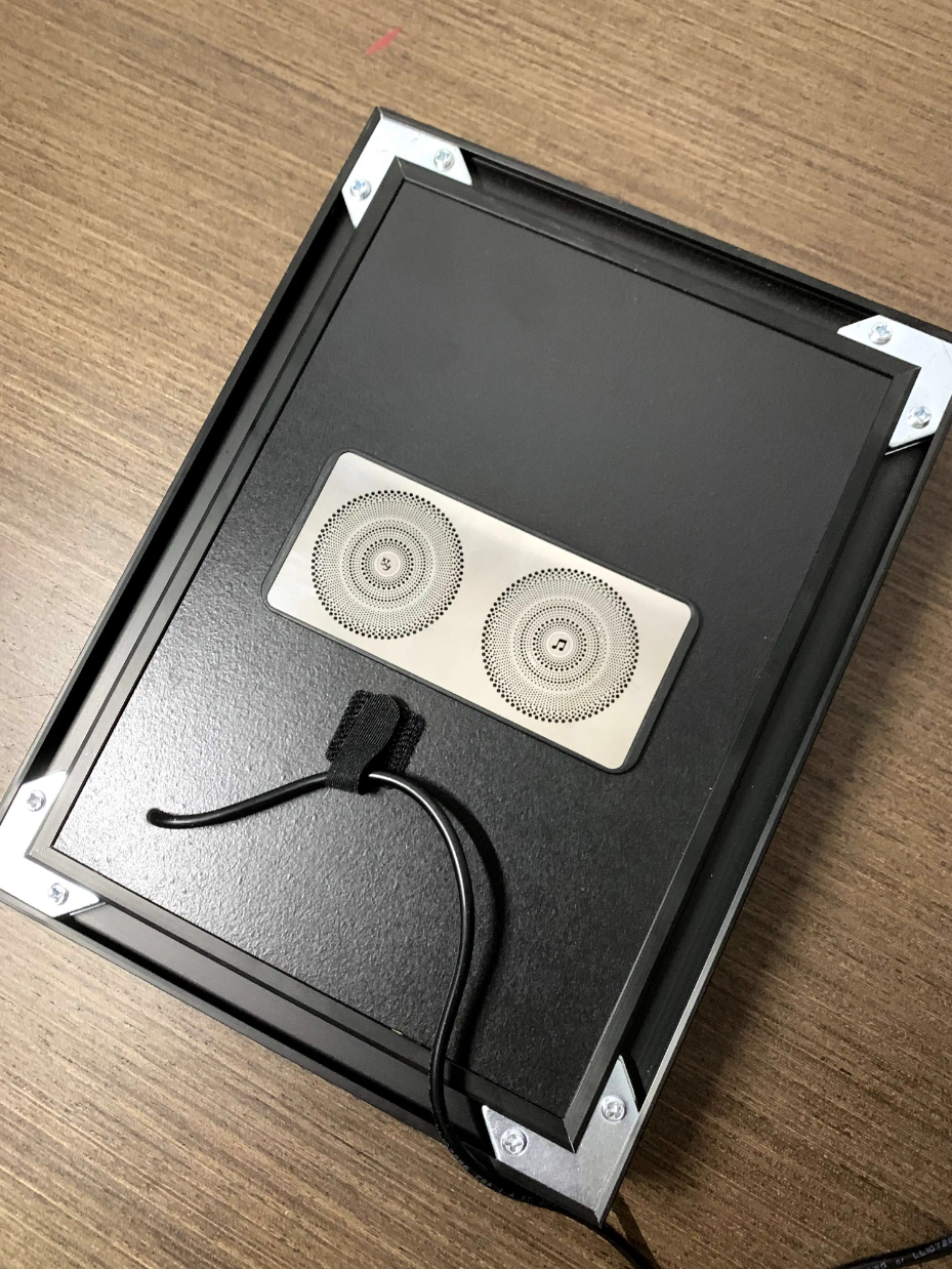 【In stock】Decorative Painting of Totoro-Studio Ghibli-MOMO Studio