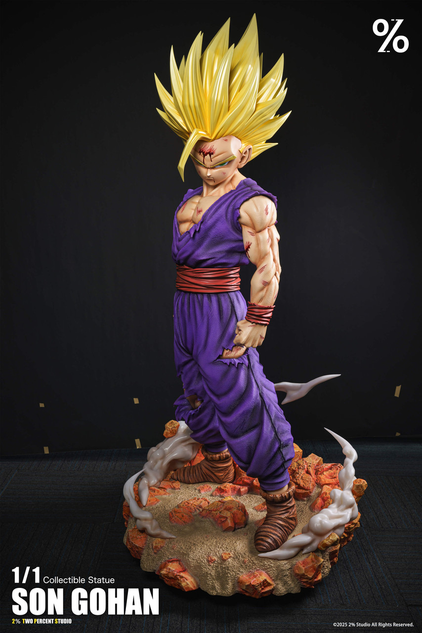 【Pre-sale】1/1 Scale SS2 Son Gohan-2％ Studio