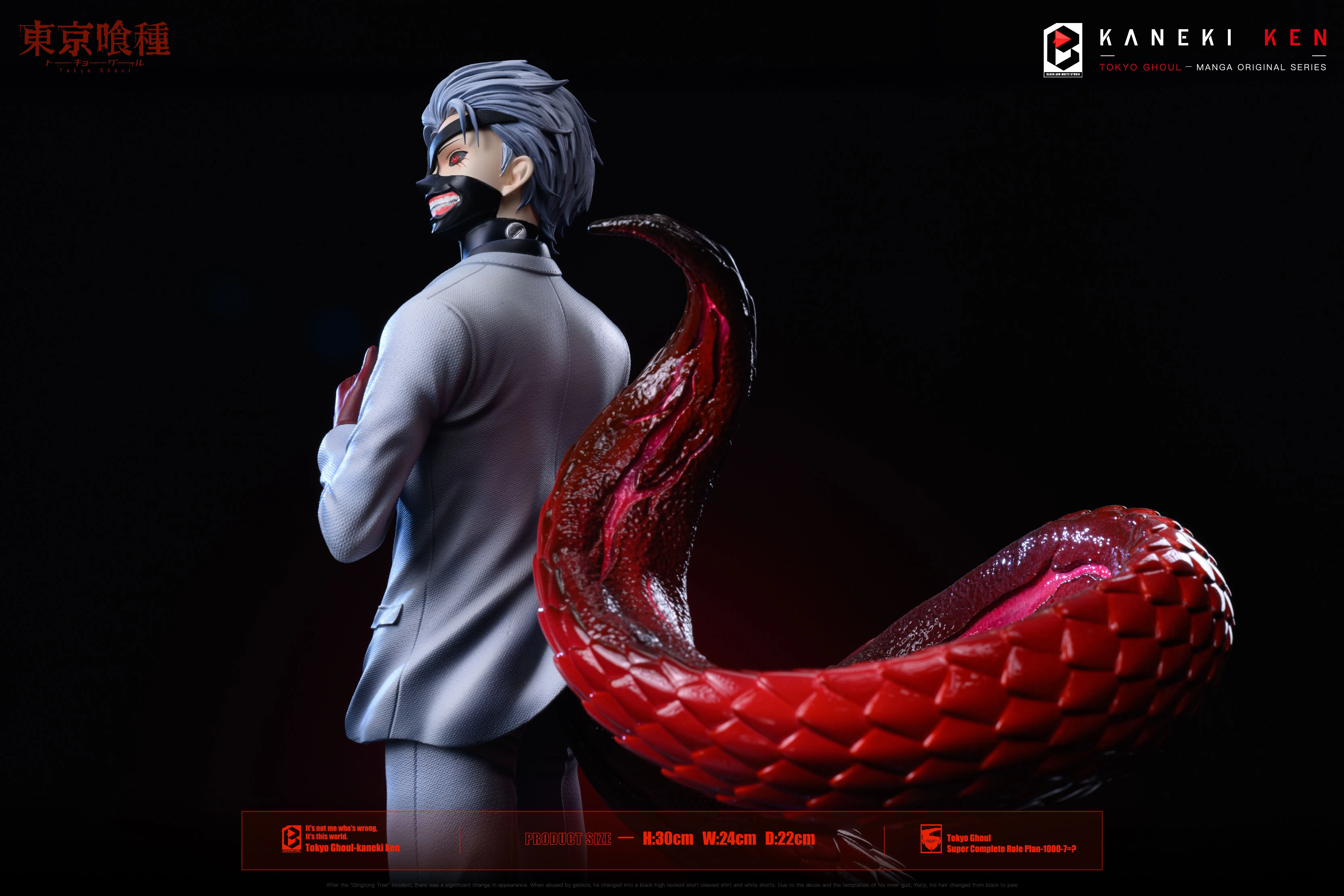 【Pre-sale】Ken Kaneki-BW Studio