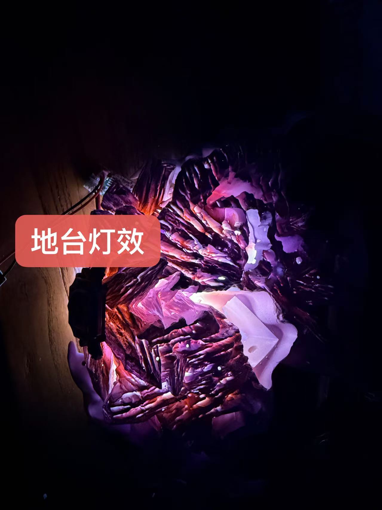 【Pre-sale】1/6 Scale Hibari Kyōya-Rhinoceros Studio