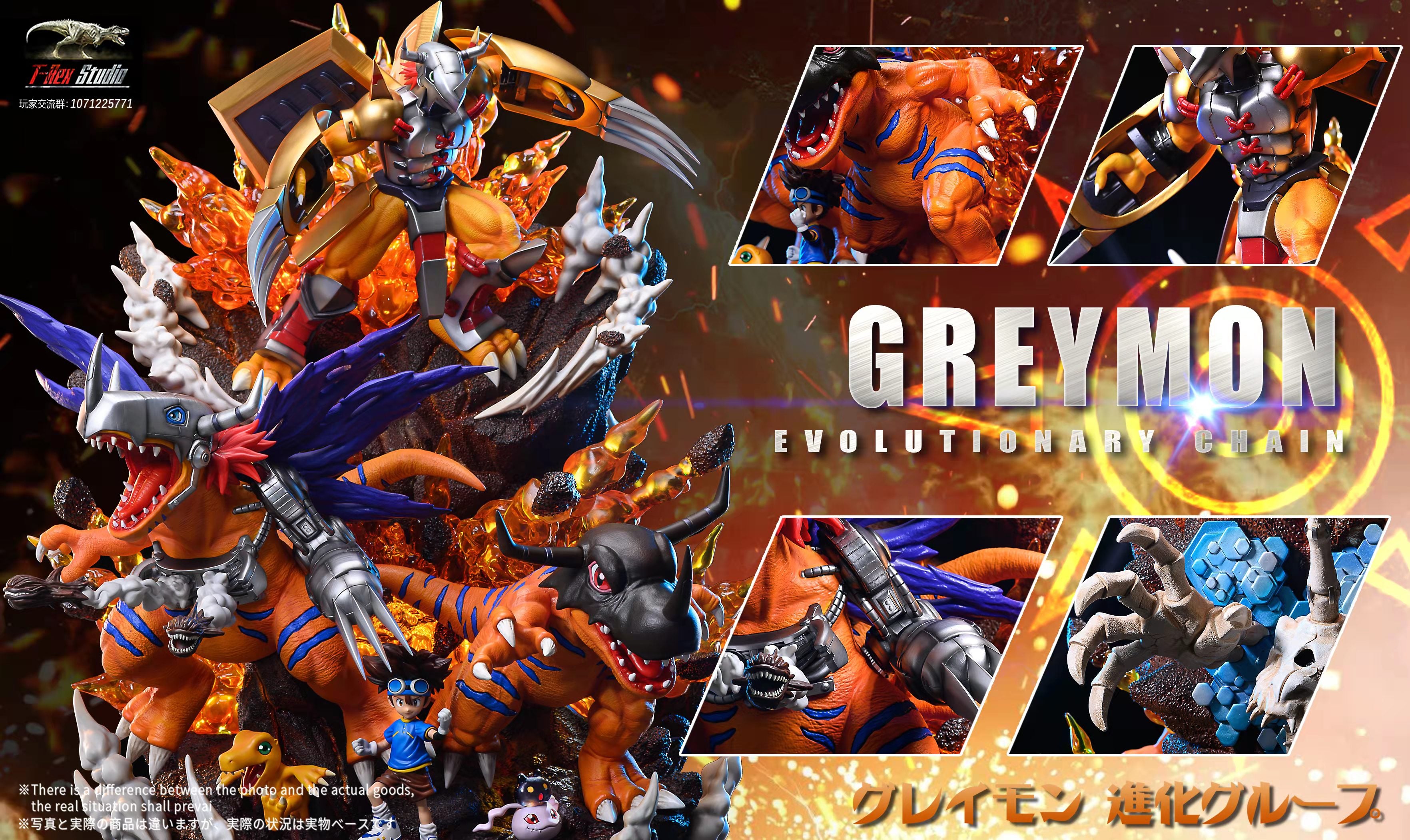 【Pre-sale】Greymon Evolution Chain-T-Rex Studio