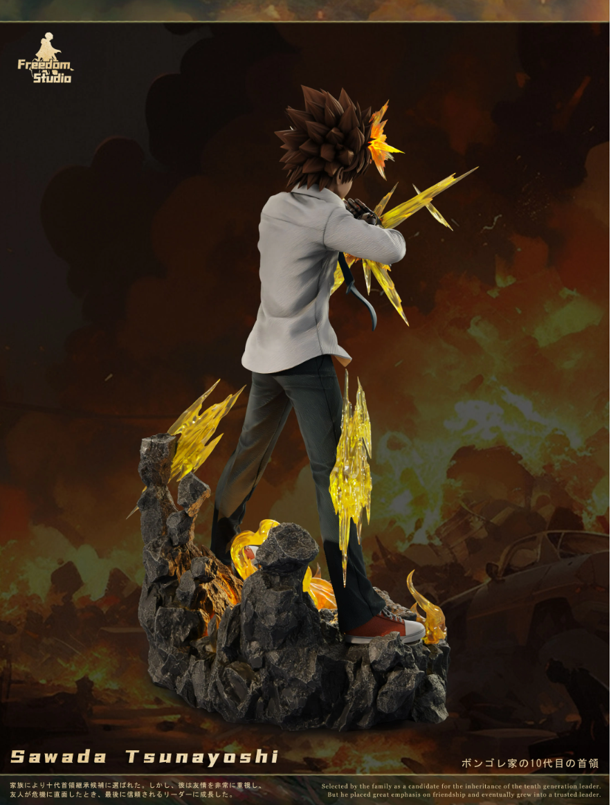 【Pre-sale】Sawada Tsunayoshi-HITMAN REBORN!-Freedom Studio