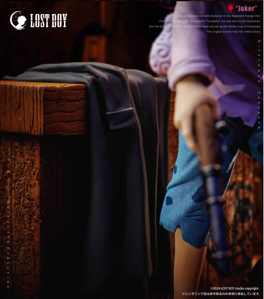 【Pre-sale】Childhood Donquixote Doflamingo-LOST BOY Studio