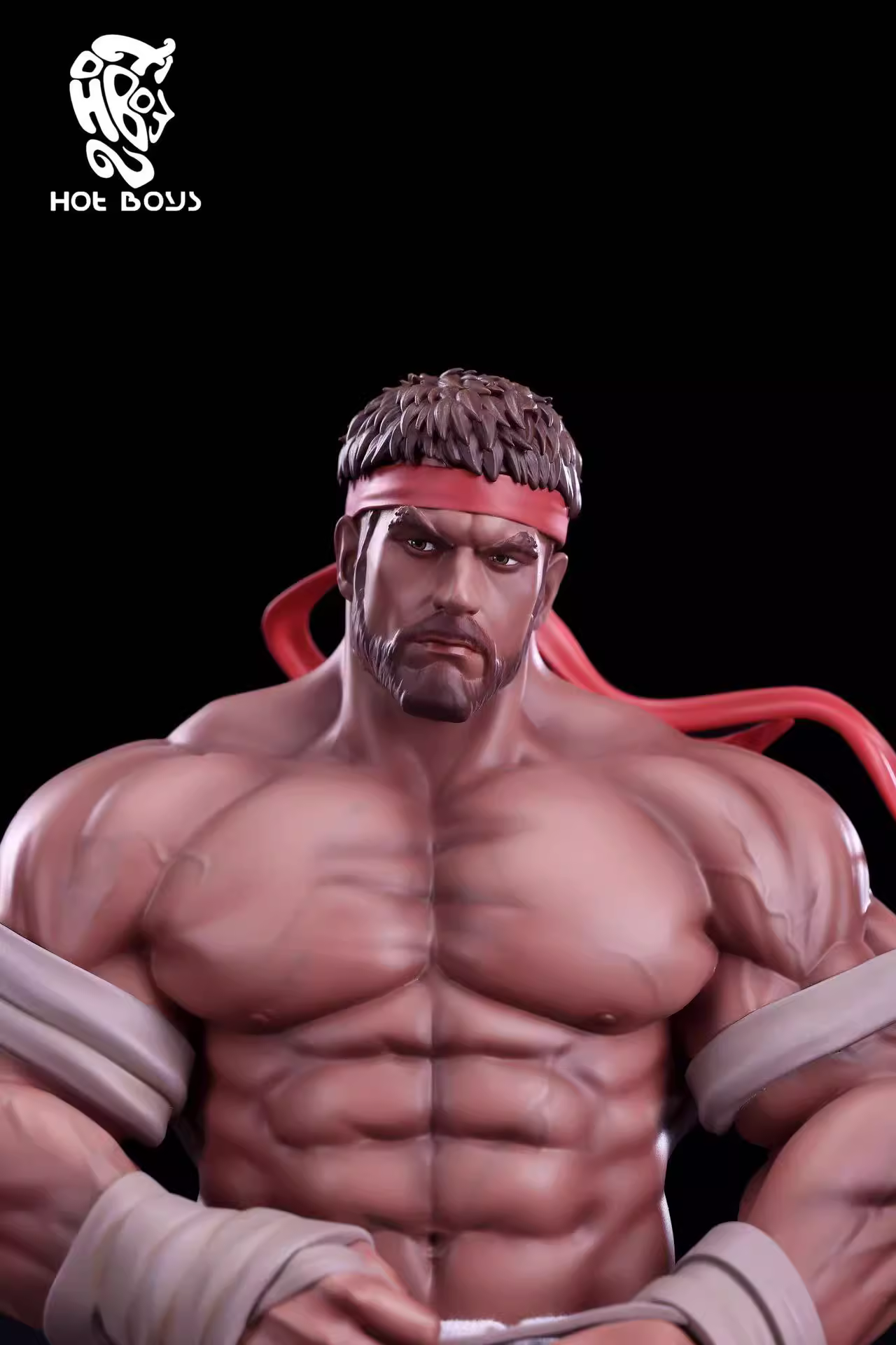 【Pre-sale】1/6 Scale Budo Battle Ryu-Other Series-HotBoys Studio