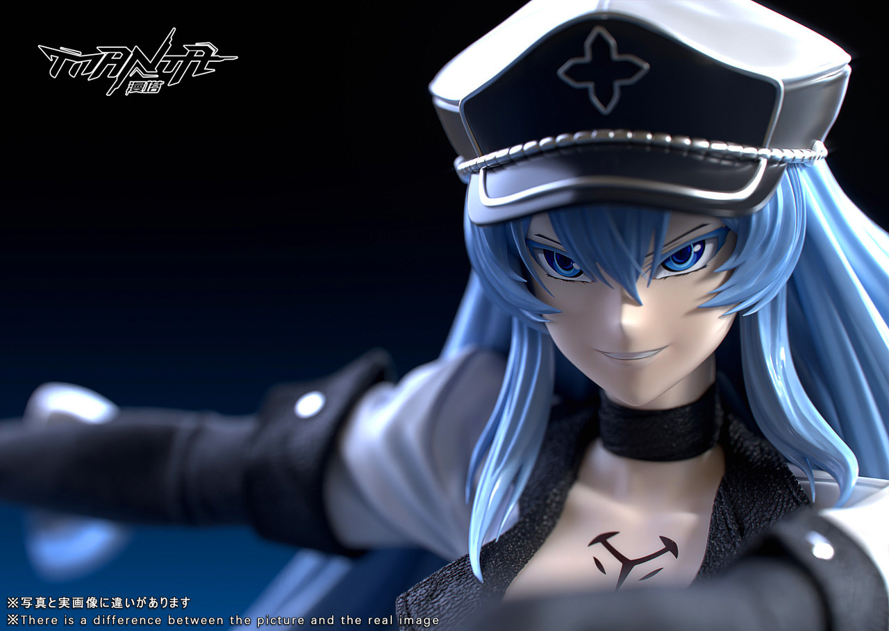 【Sold out】1/6 Scale Esdeath with LED-Akame Ga Kill-Manta Studio