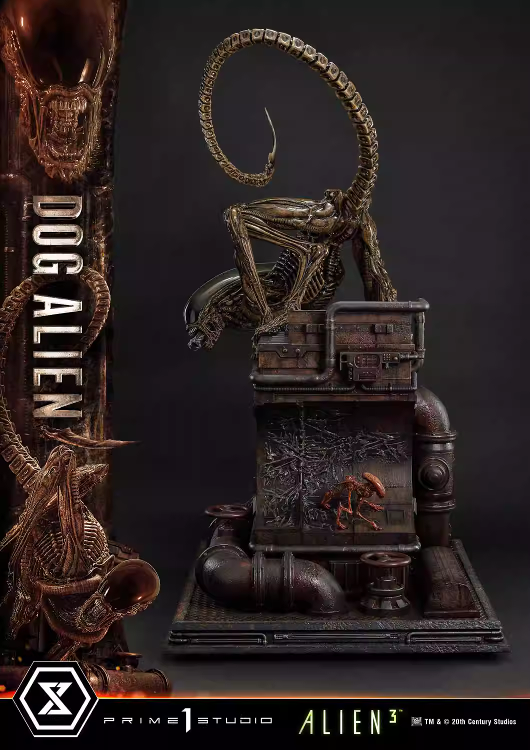 【Pre-sale】1/3 Scale Dog Alien-Alien-Prime 1 Studio