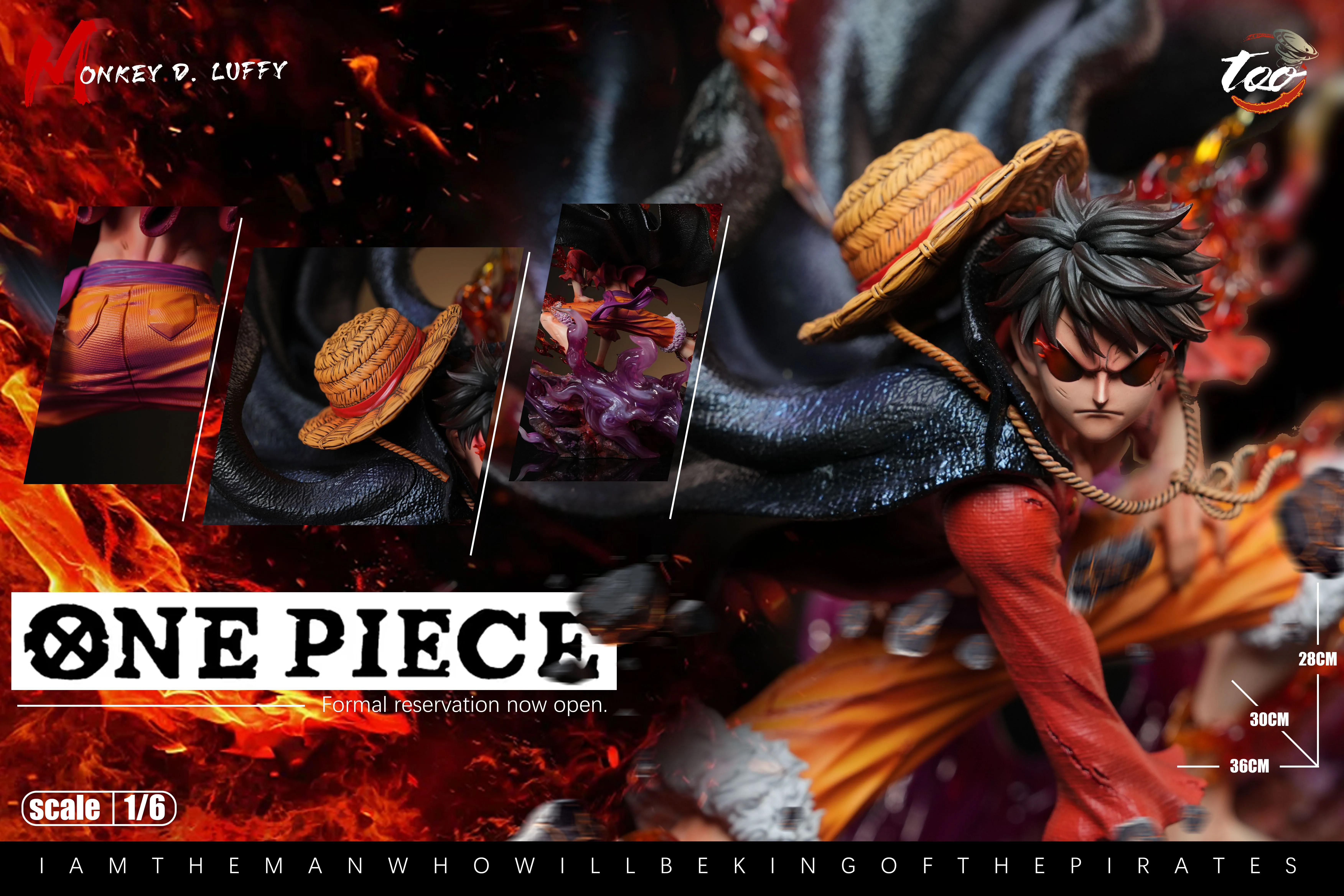 【Pre-sale】1/6 Scale Monkey D Luffy-Too Studio