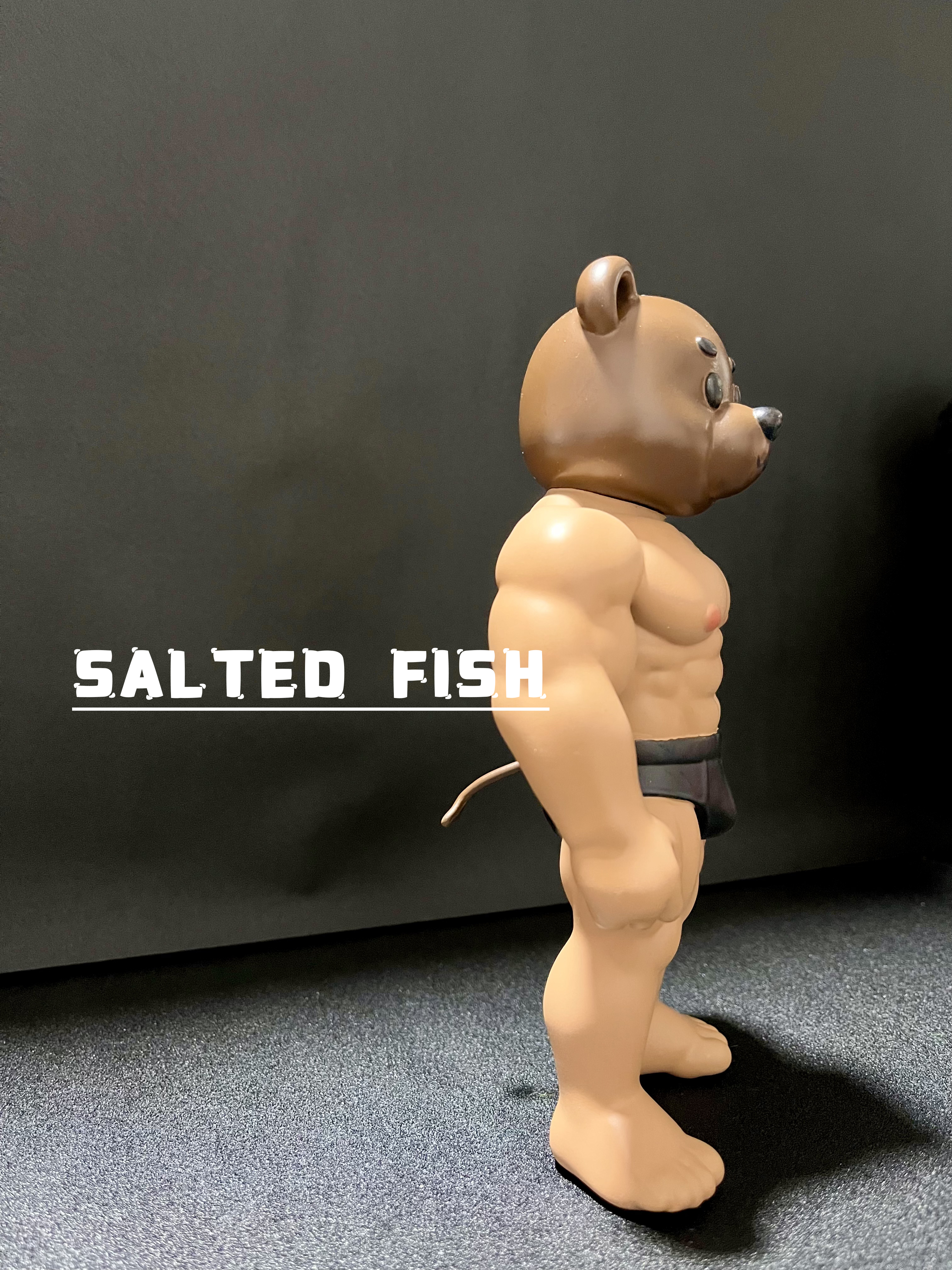 【Sold out】Bear Diary-Other Series-Salted Fish Studio