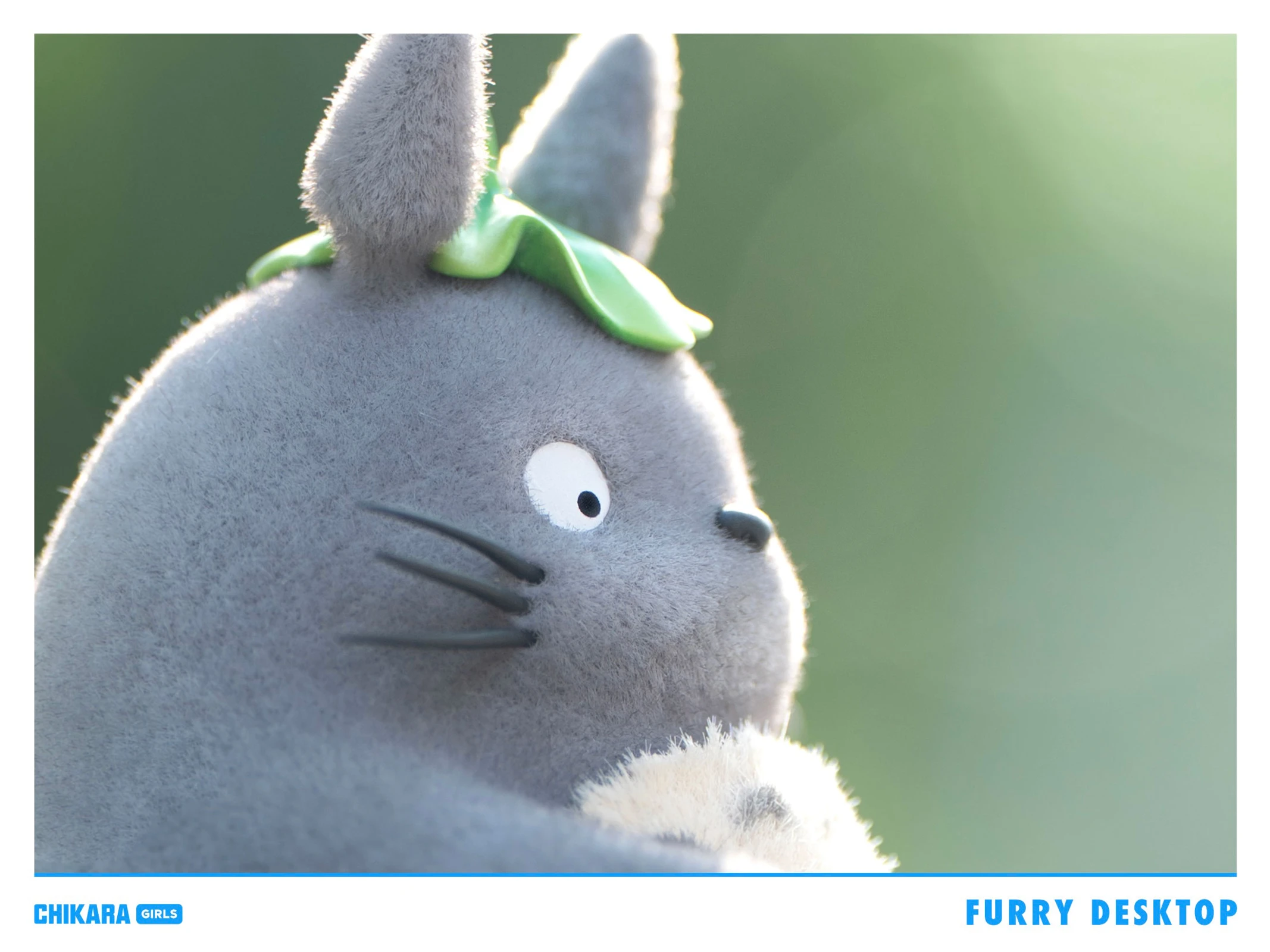 【Pre-sale】Hayao Miyazaki Movie Series Fishing Totoro-CHIKARA Studios